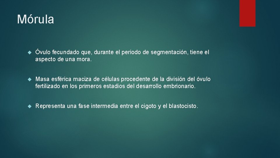 Mórula Óvulo fecundado que, durante el periodo de segmentación, tiene el aspecto de una