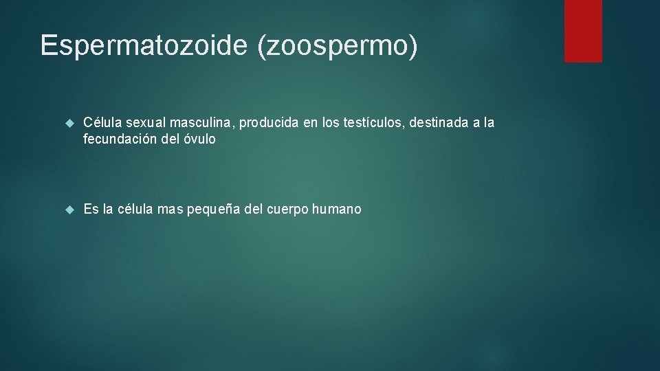 Espermatozoide (zoospermo) Célula sexual masculina, producida en los testículos, destinada a la fecundación del