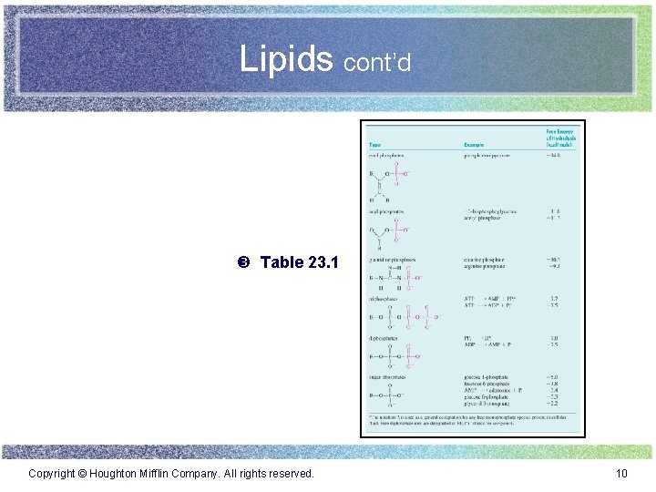 Lipids cont’d Table 23. 1 Copyright © Houghton Mifflin Company. All rights reserved. 10