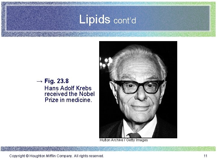 Lipids cont’d → Fig. 23. 8 Hans Adolf Krebs received the Nobel Prize in