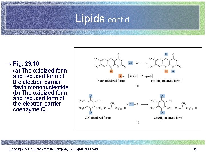 Lipids cont’d → Fig. 23. 10 (a) The oxidized form and reduced form of