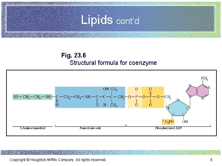 Lipids cont’d Fig. 23. 6 Structural formula for coenzyme Copyright © Houghton Mifflin Company.