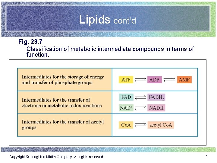 Lipids cont’d Fig. 23. 7 Classification of metabolic intermediate compounds in terms of function.