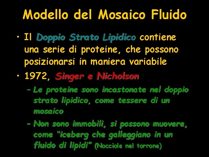 Modello del Mosaico Fluido • Il Doppio Strato Lipidico contiene una serie di proteine,