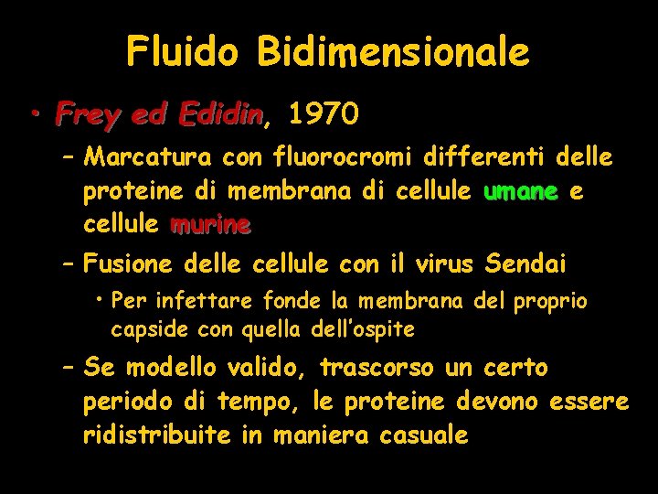 Fluido Bidimensionale • Frey ed Edidin, Edidin 1970 – Marcatura con fluorocromi differenti delle