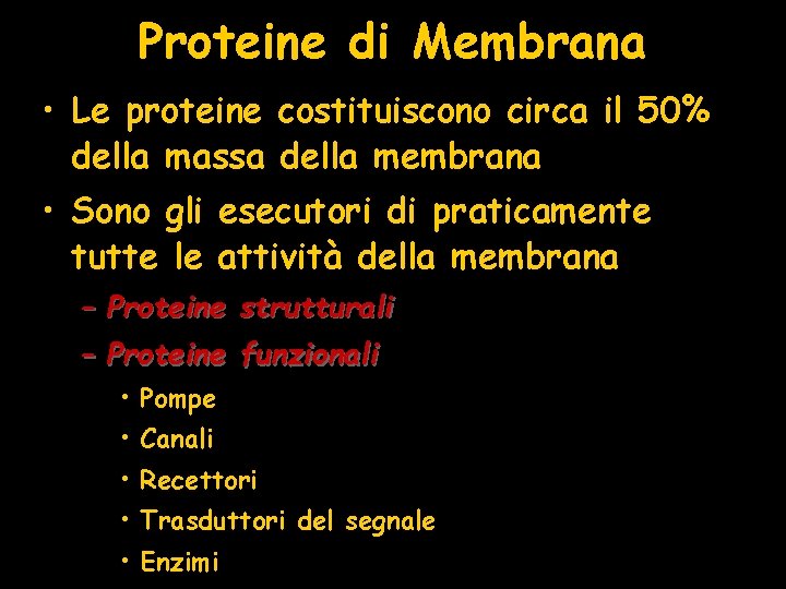 Proteine di Membrana • Le proteine costituiscono circa il 50% della massa della membrana
