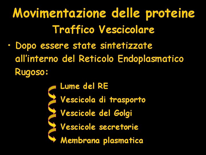 Movimentazione delle proteine Traffico Vescicolare • Dopo essere state sintetizzate all’interno del Reticolo Endoplasmatico