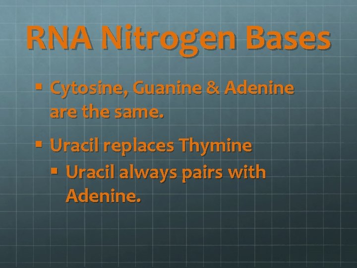 RNA Nitrogen Bases § Cytosine, Guanine & Adenine are the same. § Uracil replaces