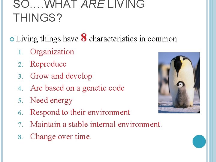 SO…. WHAT ARE LIVING THINGS? Living 1. 2. 3. 4. 5. 6. 7. 8.