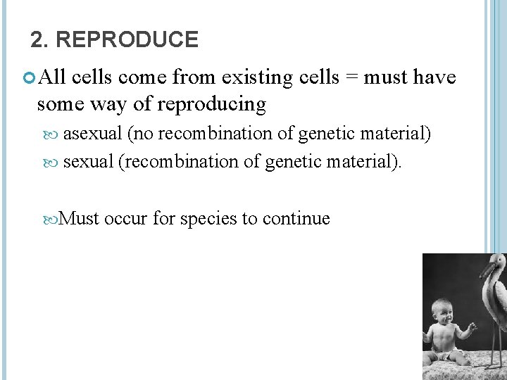 2. REPRODUCE All cells come from existing cells = must have some way of