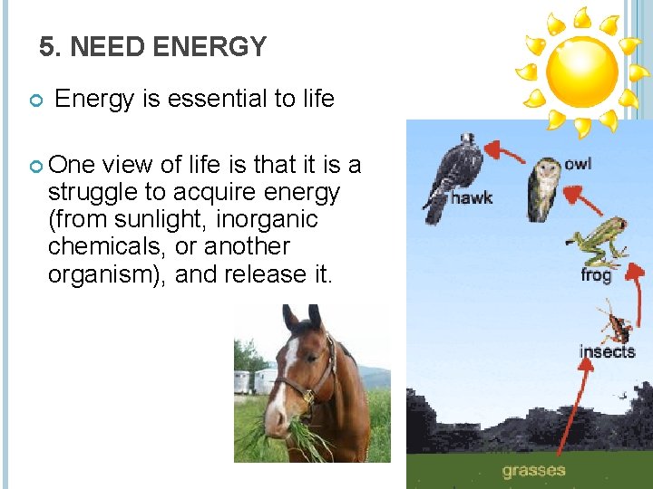 5. NEED ENERGY Energy is essential to life One view of life is that