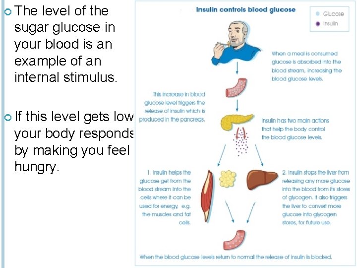  The level of the sugar glucose in your blood is an example of