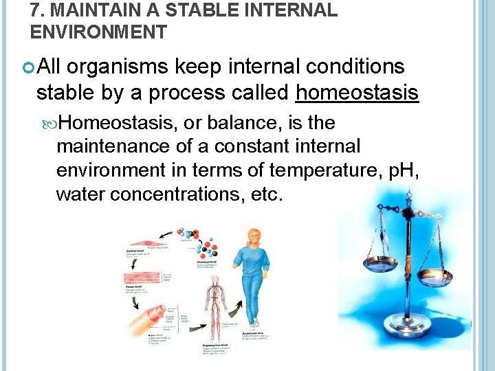 7. MAINTAIN A STABLE INTERNAL ENVIRONMENT All organisms keep internal conditions stable by a