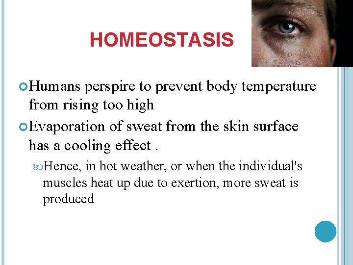 HOMEOSTASIS Humans perspire to prevent body temperature from rising too high Evaporation of sweat