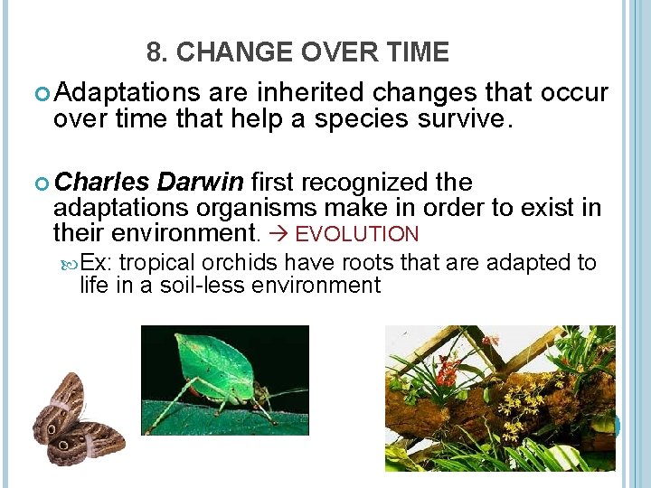 8. CHANGE OVER TIME Adaptations are inherited changes that occur over time that help