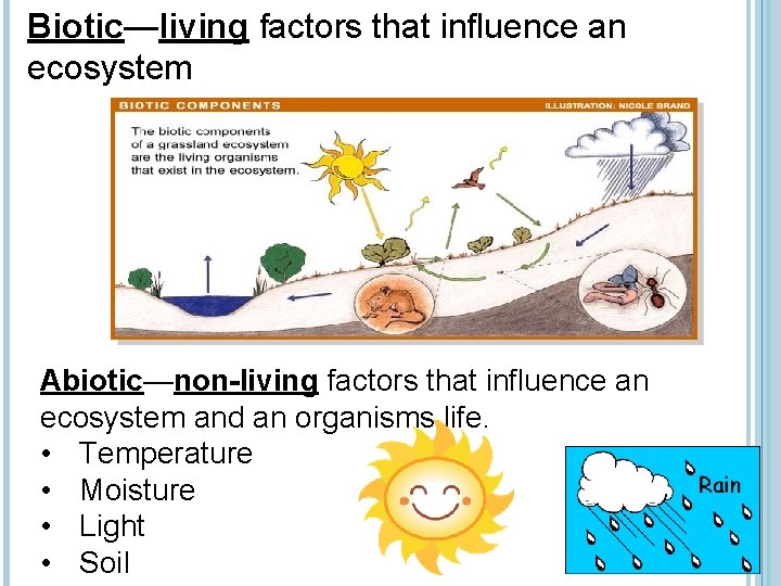 Biotic—living factors that influence an ecosystem Abiotic—non-living factors that influence an ecosystem and an