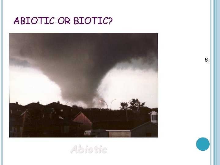 ABIOTIC OR BIOTIC? 25 Abiotic 