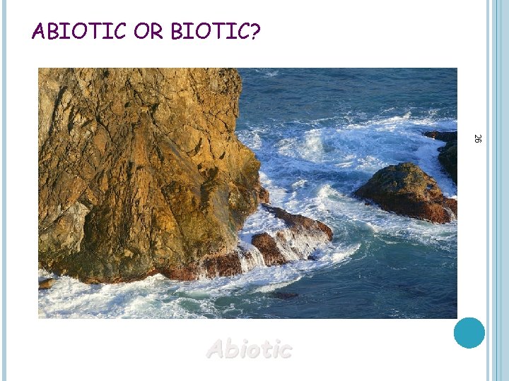 ABIOTIC OR BIOTIC? 26 Abiotic 