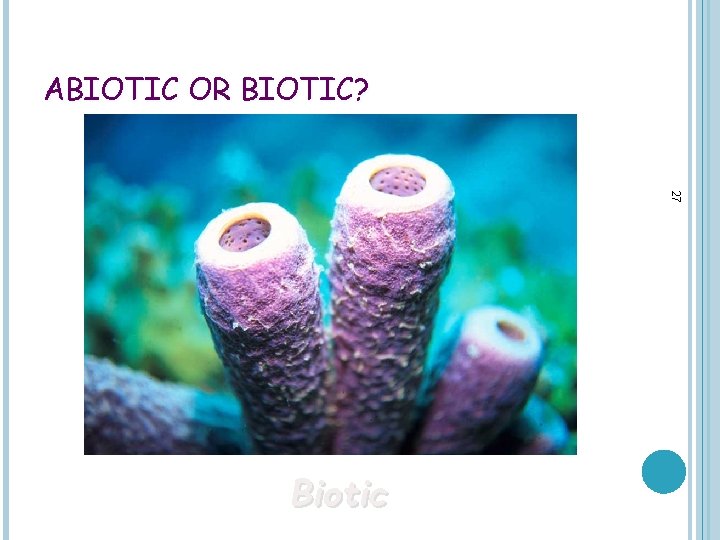 ABIOTIC OR BIOTIC? 27 Biotic 