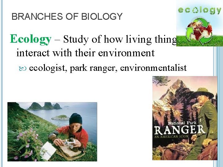 BRANCHES OF BIOLOGY Ecology – Study of how living things interact with their environment
