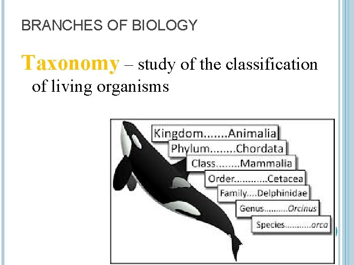 BRANCHES OF BIOLOGY Taxonomy – study of the classification of living organisms 