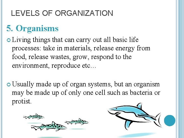 LEVELS OF ORGANIZATION 5. Organisms Living things that can carry out all basic life