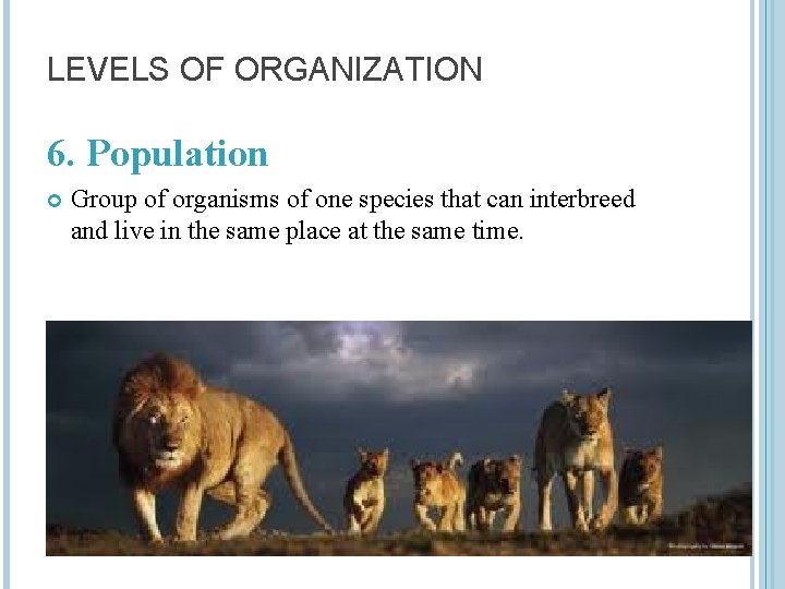 LEVELS OF ORGANIZATION 6. Population Group of organisms of one species that can interbreed