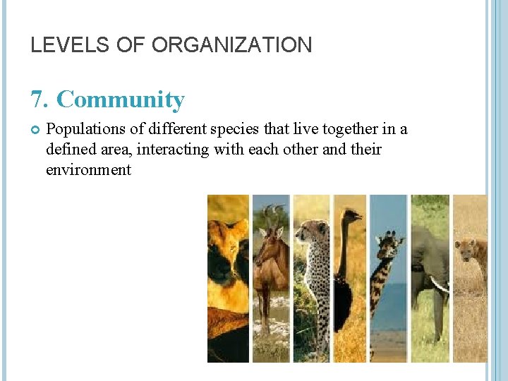 LEVELS OF ORGANIZATION 7. Community Populations of different species that live together in a
