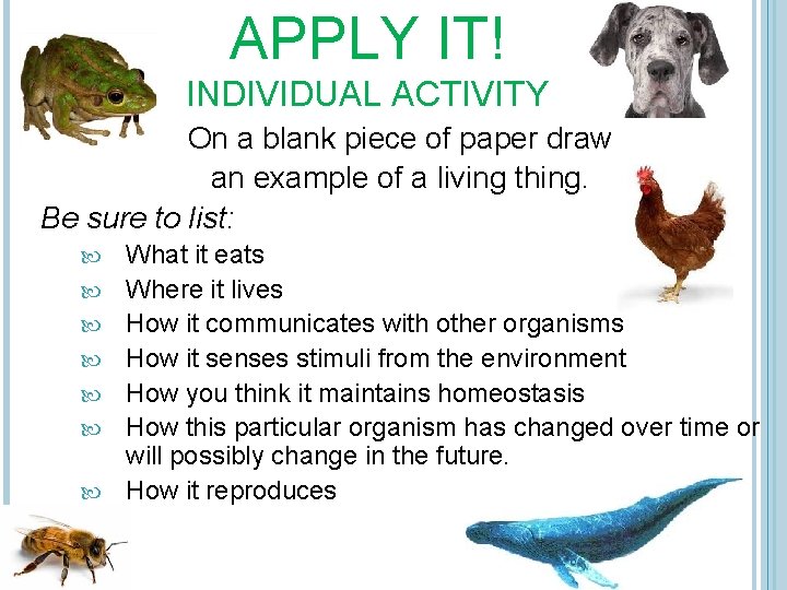 APPLY IT! INDIVIDUAL ACTIVITY On a blank piece of paper draw an example of