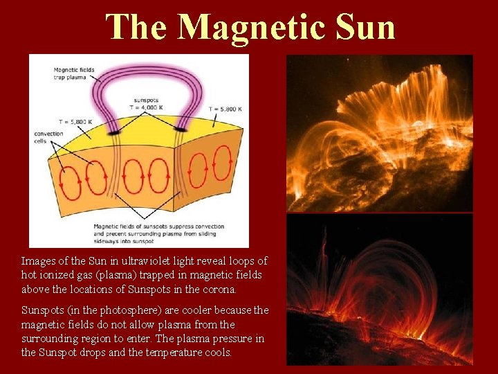 The Magnetic Sun Images of the Sun in ultraviolet light reveal loops of hot