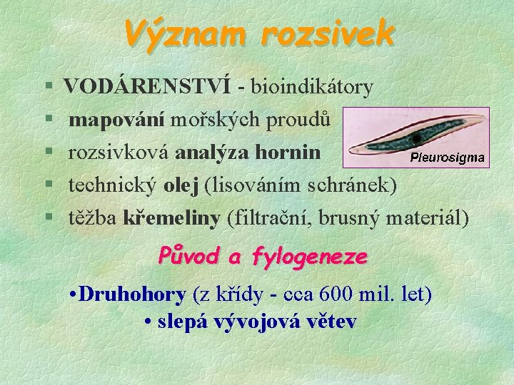 Význam rozsivek § § § VODÁRENSTVÍ - bioindikátory mapování mořských proudů rozsivková analýza hornin