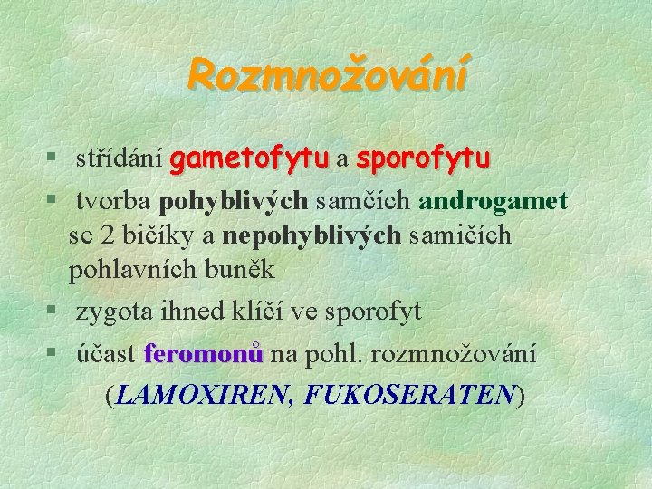 Rozmnožování § střídání gametofytu a sporofytu § tvorba pohyblivých samčích androgamet se 2 bičíky