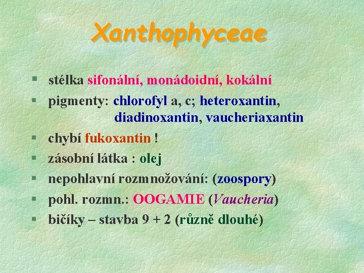 Xanthophyceae § stélka sifonální, monádoidní, kokální § pigmenty: chlorofyl a, c; heteroxantin, diadinoxantin, vaucheriaxantin