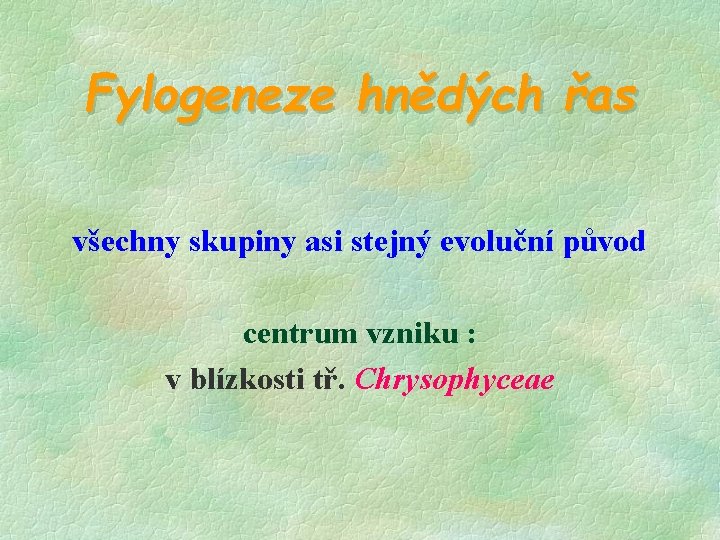 Fylogeneze hnědých řas všechny skupiny asi stejný evoluční původ centrum vzniku : v blízkosti