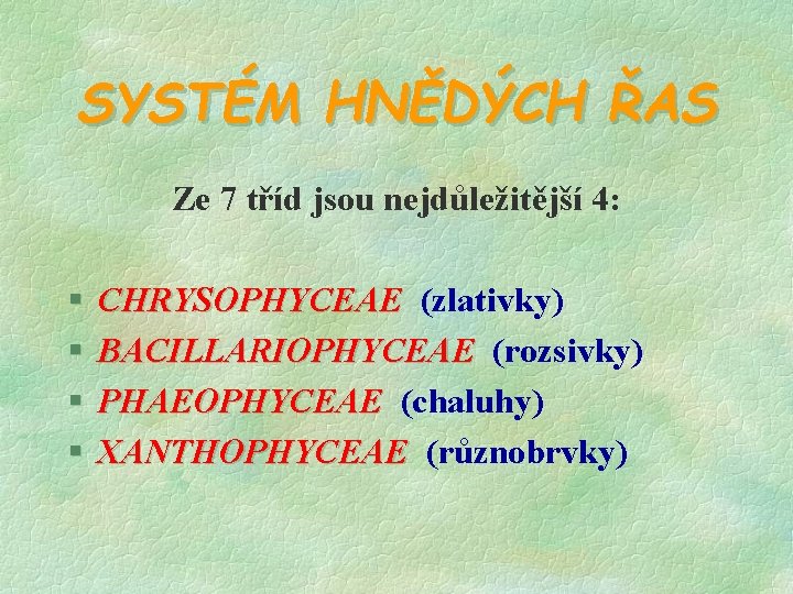 SYSTÉM HNĚDÝCH ŘAS Ze 7 tříd jsou nejdůležitější 4: § § CHRYSOPHYCEAE (zlativky) BACILLARIOPHYCEAE