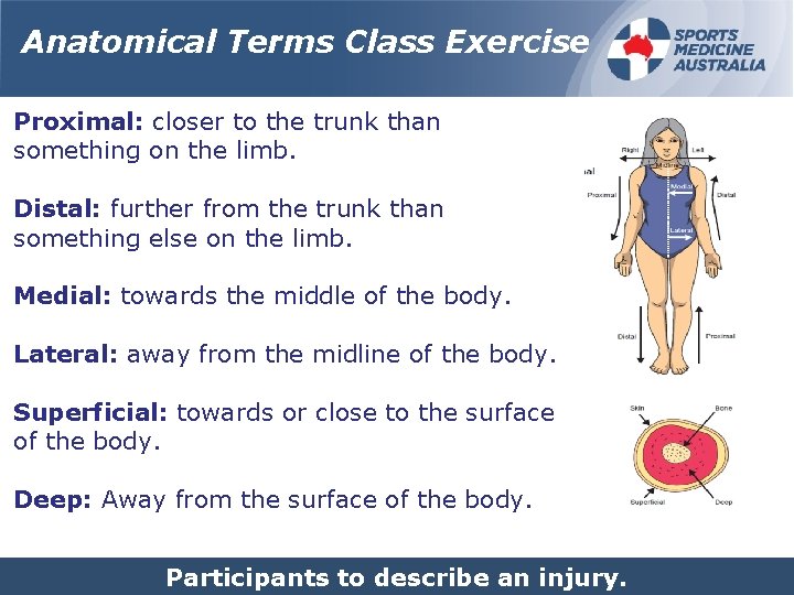 Anatomical Terms Class Exercise Proximal: closer to the trunk than something on the limb.