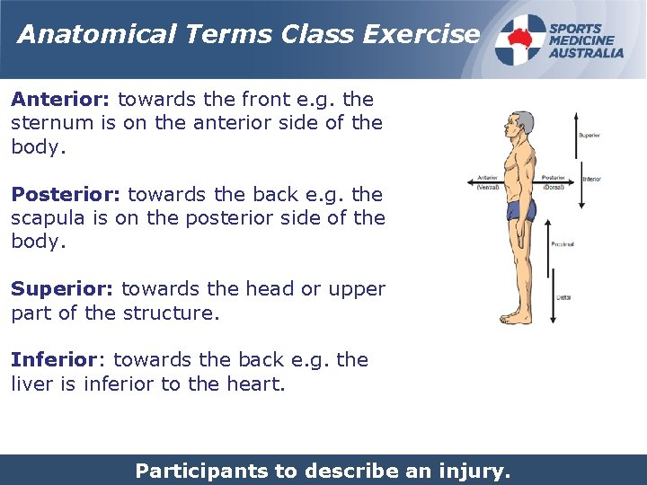 Anatomical Terms Class Exercise Anterior: towards the front e. g. the sternum is on