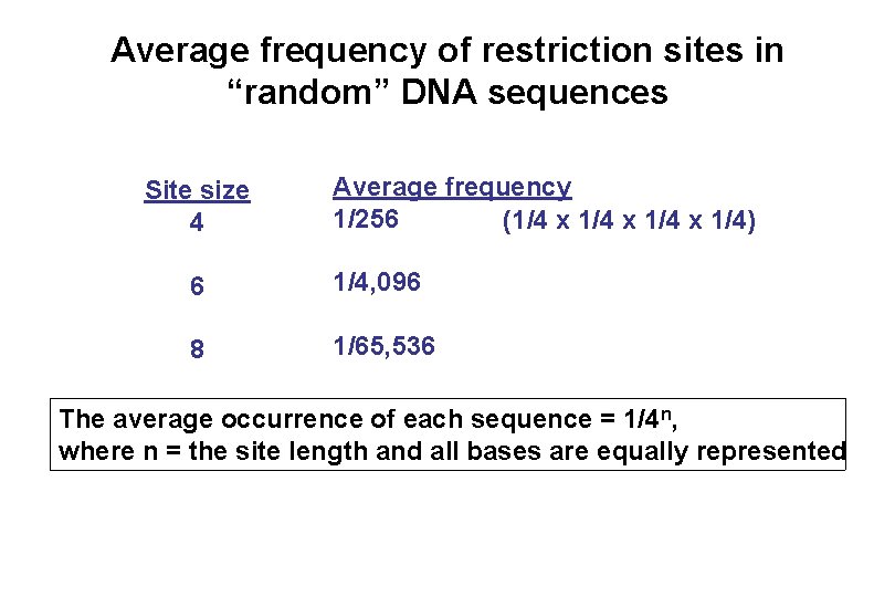 Average frequency of restriction sites in “random” DNA sequences Site size 4 Average frequency Average frequency of restriction sites in “random” DNA sequences Site size 4 Average frequency