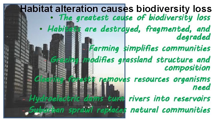 Habitat alteration causes biodiversity loss • The greatest cause of biodiversity loss • Habitats