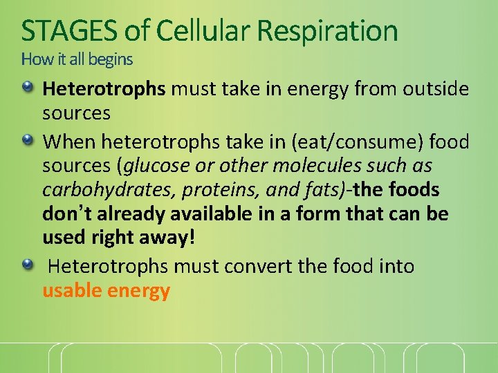 STAGES of Cellular Respiration How it all begins Heterotrophs must take in energy from