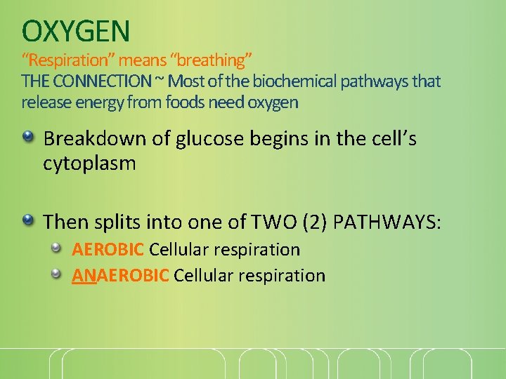 OXYGEN “Respiration” means “breathing” THE CONNECTION ~ Most of the biochemical pathways that release