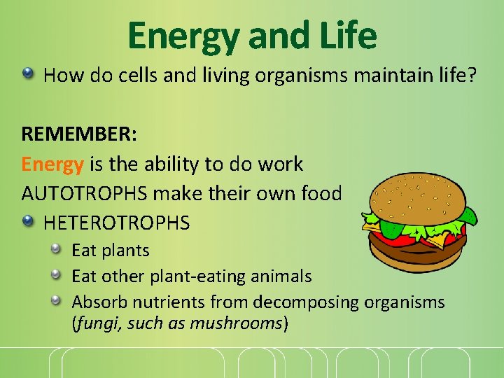Energy and Life How do cells and living organisms maintain life? REMEMBER: Energy is