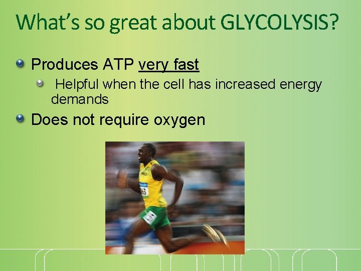 What’s so great about GLYCOLYSIS? Produces ATP very fast Helpful when the cell has