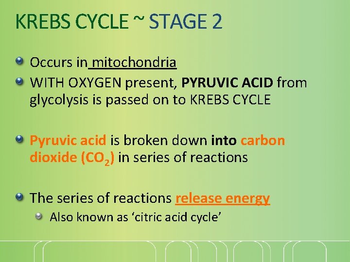 KREBS CYCLE ~ STAGE 2 Occurs in mitochondria WITH OXYGEN present, PYRUVIC ACID from