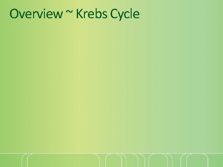 Overview ~ Krebs Cycle 