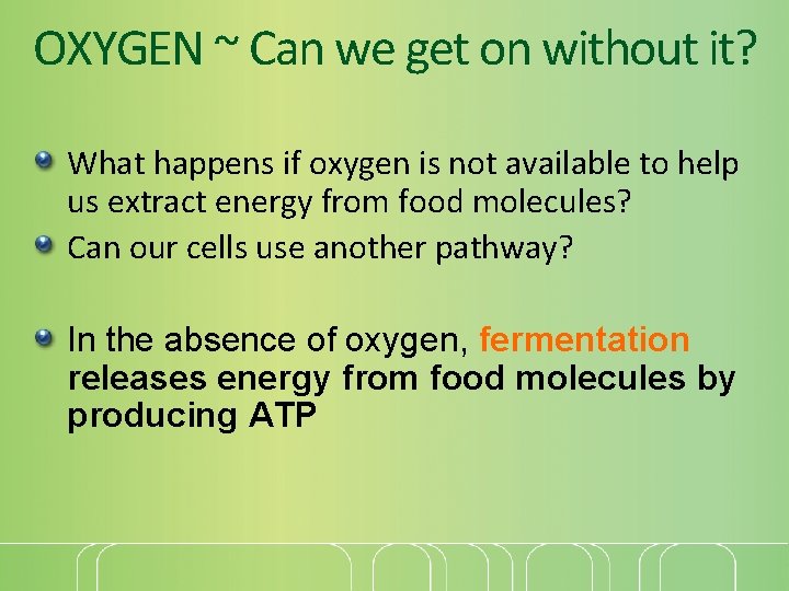 OXYGEN ~ Can we get on without it? What happens if oxygen is not