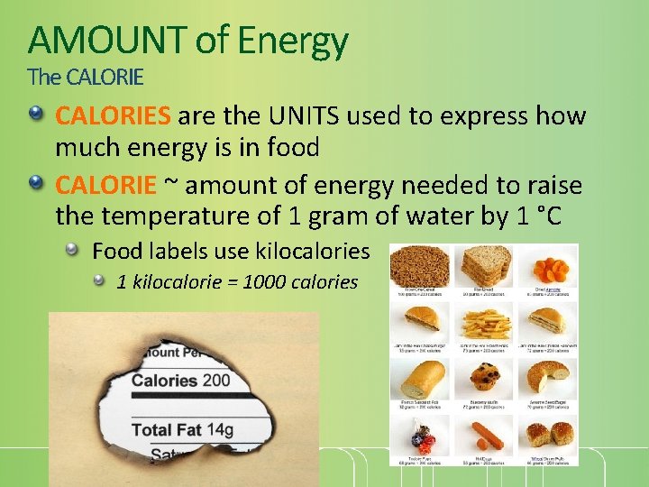 AMOUNT of Energy The CALORIES are the UNITS used to express how much energy