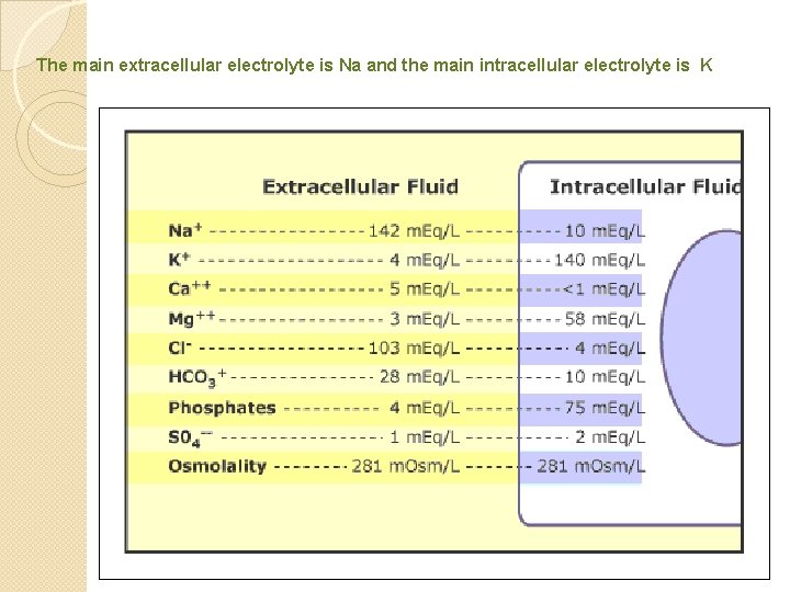 The main extracellular electrolyte is Na and the main intracellular electrolyte is K 