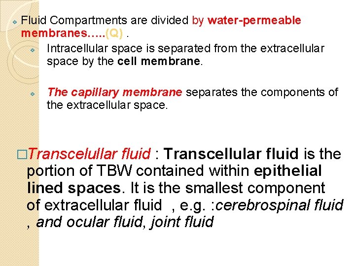 v Fluid Compartments are divided by water-permeable membranes…. . (Q). v Intracellular space is