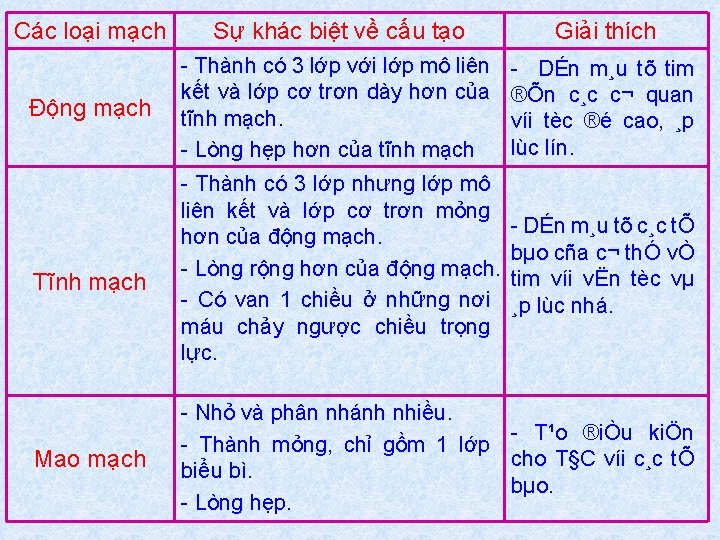 Các loại mạch Động mạch Tĩnh mạch Mao mạch Sự khác biệt về cấu